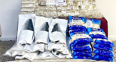 Edirne'de gümrük kaçağı 2 bin 730 süs eşyası ile 43 dondurulmuş deniz ürünü ele geçirildi