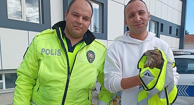 Edirne Trafik Denetleme Şubesi Personeli Yaralı Atmacayı Kurtardı