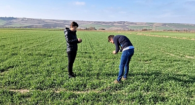 Fenolojik gözlemler yapıldı