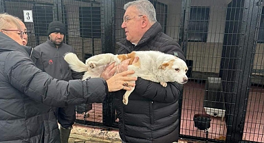 Geçici Hayvan Bakımevi 2023 yılında 1675 can dostu tedavi etti