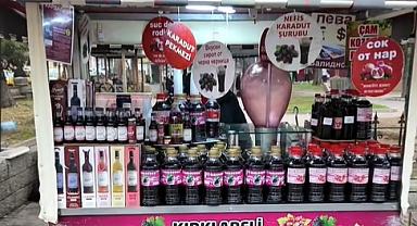 İl Tarım ve Orman Müdürlüğü'ne nasıl gidilir?