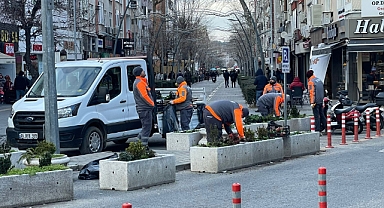 Kent Genelinde Yeşillendirme ve Bakım Çalışmaları Hız Kesmeden Devam Ediyor