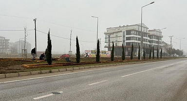 Kırklareli'nde Peyzaj Çalışmaları Devam Ediyor