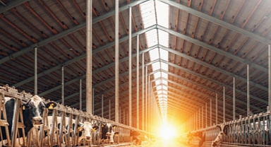 Kırsal Kalkınma Destekleme Programı Başvuruları Devam Ediyor