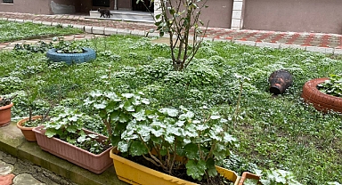 Lüleburgaz'da kar yağışı başladı