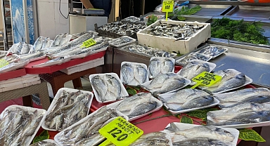 Lüleburgaz Karadeniz Balıkçısında Tezgahlar Balık Bolluğunda