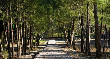 Lüleburgaz Kent Ormanı Ziyaretçi Rekoru Kırdı