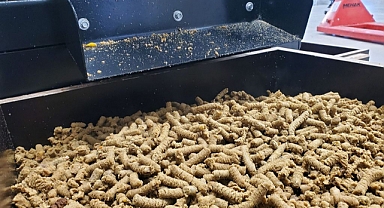 Mama üretimi artarak devam ediyor