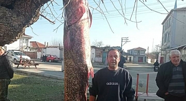 Meriç Nehri'nde 2 metre 30 santimlik yayın balığı yakaladı