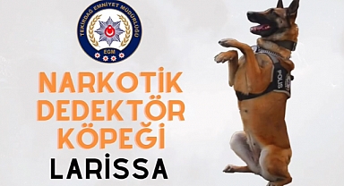 Narkotik Köpek Larissa Tam Tamına 140 Operasyona Katılmıştı!