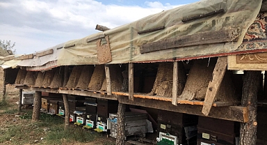 Proje Kovanlarının Tespit Çalışması Devam Ediyor