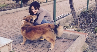 Sokak Hayvanlarına Umut Işığı Oluyor