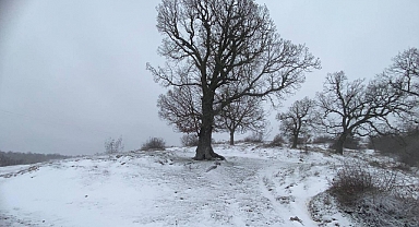 Trakya'da yağış ve kuvvetli rüzgar (2)