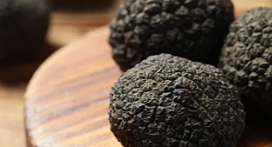 Trüf Mantarı Üretim Tesisi Ziyaret Edildi