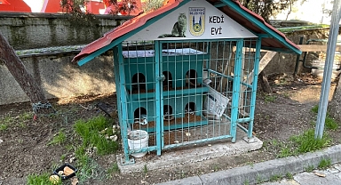 Vatandaşlar Kedi Evlerine Büyük İlgi Gösteriyor