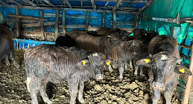 Yerinde Tespit ve Güncelleme Çalışmaları Sürüyor