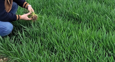 Babaeski'de Tarımda Sağlıklı Adımlar