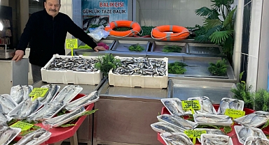 Balık tezgahlarında bolluk