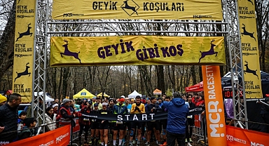 Belgrad Ormanını Geyikler Bastı!