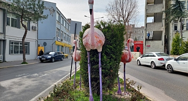 FLAMİNGO CADDESİNİN ADI NEREDEN GELİYOR?