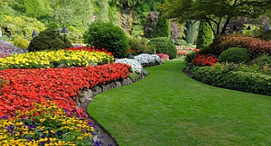 Kurakçıl Peyzaj Nedir?