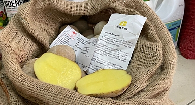 Marabel Cinsi Patatesler Görücüye Çıktı