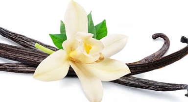 Vanilya Özü: Sağlık ve Aromaterapideki Rolü