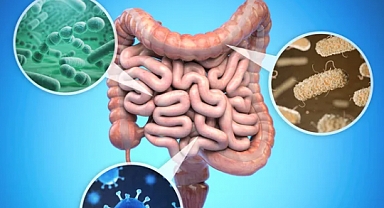 Bağırsak Sağlığını Destekleyen Beslenme İpuçları: Sağlığınız İçin Altın Kurallar