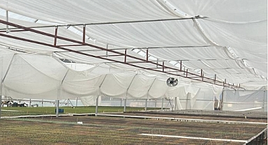 Kırklareli İl Tarım ve Orman Müdürlüğü'nden Lüleburgaz'da Fide Üretim Merkezine Teknik Denetim