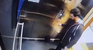 Eros'u tekmeleyerek öldüren sanığa verilen cezaya savcılık itiraz edecek