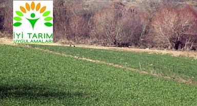 Babaeski İlçe Tarım ve Orman Müdürlüğü İyi Tarım Uygulamaları Desteği İcmallerini Askıya Aldı