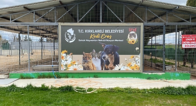 Kedi Eros'un İsmi Kırklareli'de Yaşatılacak