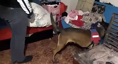 Kırklareli'de 'torbacı' operasyonunda 13 gözaltı