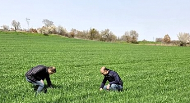 Kırklareli’nde Hububat Alanlarına Yönelik Önemli Kontroller Gerçekleştirildi