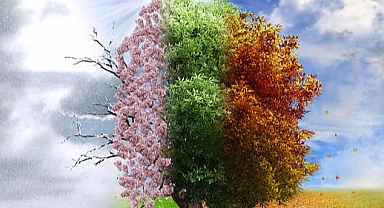 Mevsim Geçişlerinde Sağlığınızı Korumak İçin 5 Önemli İpucu