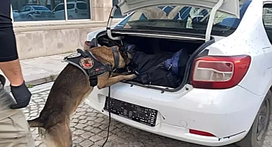 Otomobildeki 11 kilo uyuşturucuyu 'Kongar' buldu; 1 gözaltı