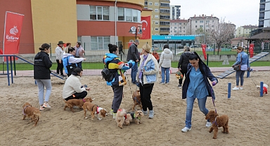 Edirne’de Patipark Coşkuyla Açıldı: Patili Dostlar İçin Yeni Bir Randevu Noktası