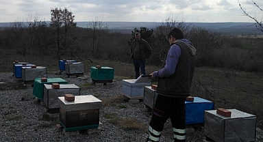 Pınarhisar Arı Üreticilerine Teknik Destek Ziyaretleri