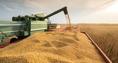 Tarım Girdi Fiyatları Ocak 2024'te Yükseldi