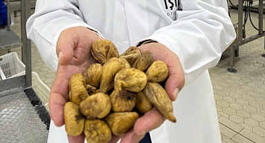 Türk gıda ihracatçıları ABD'den ticari bağlantılarla döndü