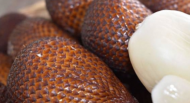 Tropik Meyve Yılan Meyvesi: Sağlık ve Lezzet Dolu Egzotik Bir Keşif