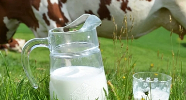 TÜİK Verilerine Göre Süt ve Süt Ürünleri Üretiminde Büyük Artış