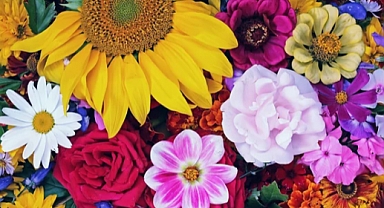 İlkbaharda Bahçenizi Canlandırın: Çiçeklerinizin Daha Güzel Açması İçin Pratik İpuçları