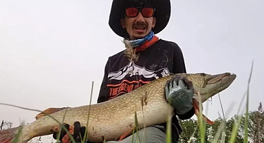 Amatör balıkçı oltayla 1 metre uzunluğunda turna balığı yakaladı; o anlar kamerada