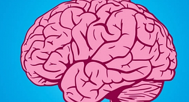 Beyin Hakkında Bilmeniz Gereken Gerçekler ve Efsaneler