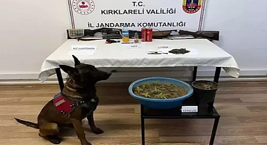 Çiftlikte uyuşturucu ele geçirildi: 1 gözaltı