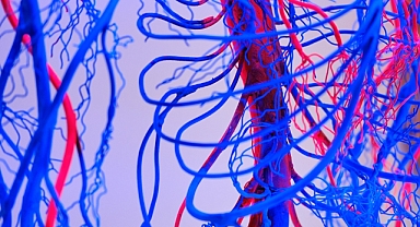 DAMAR TIKANIKLIKLARINI ÖNLEMENİN 7 ETKİLİ YOLU!