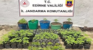 Edirne'de evde 196 kök Hint keneviri ele geçirildi