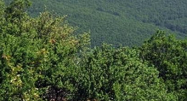 Fotoğrafçılar Bir Cennet