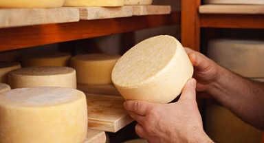 Kaanlar Peynir Fabrikası, Malkara'da Üretim Elemanları Arıyor